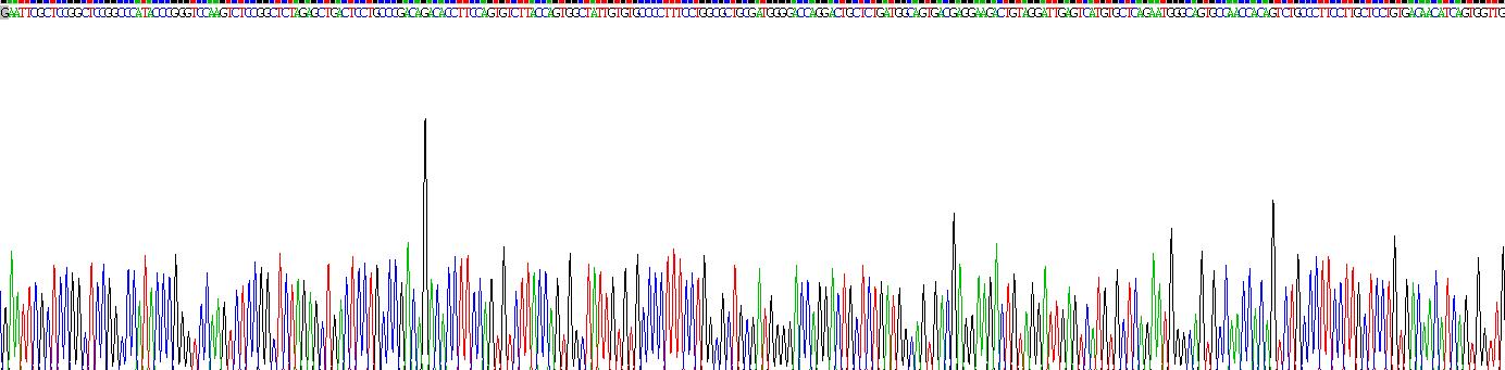 CD320分子(CD320)重组蛋白