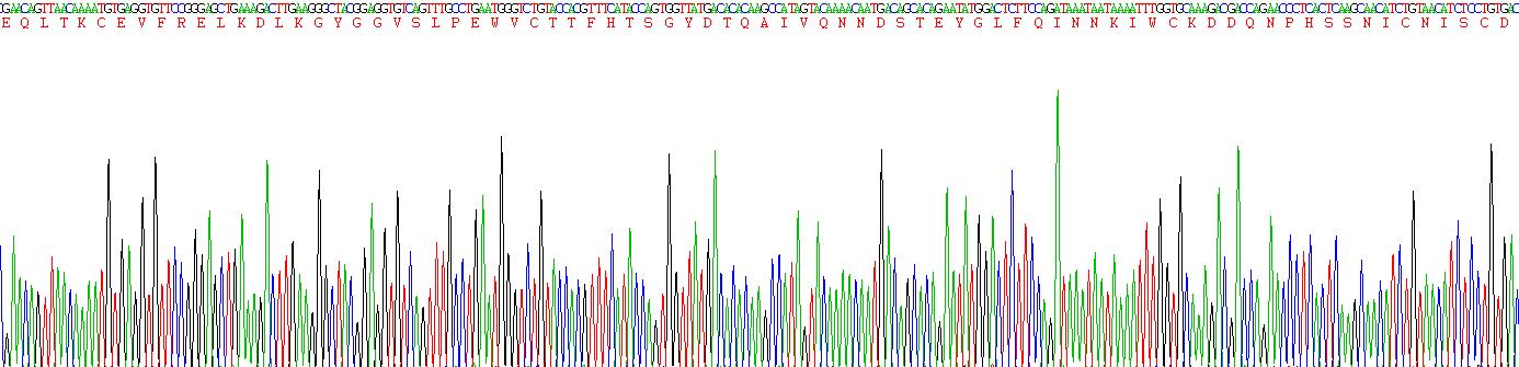 α-乳清蛋白(aLA)重组蛋白
