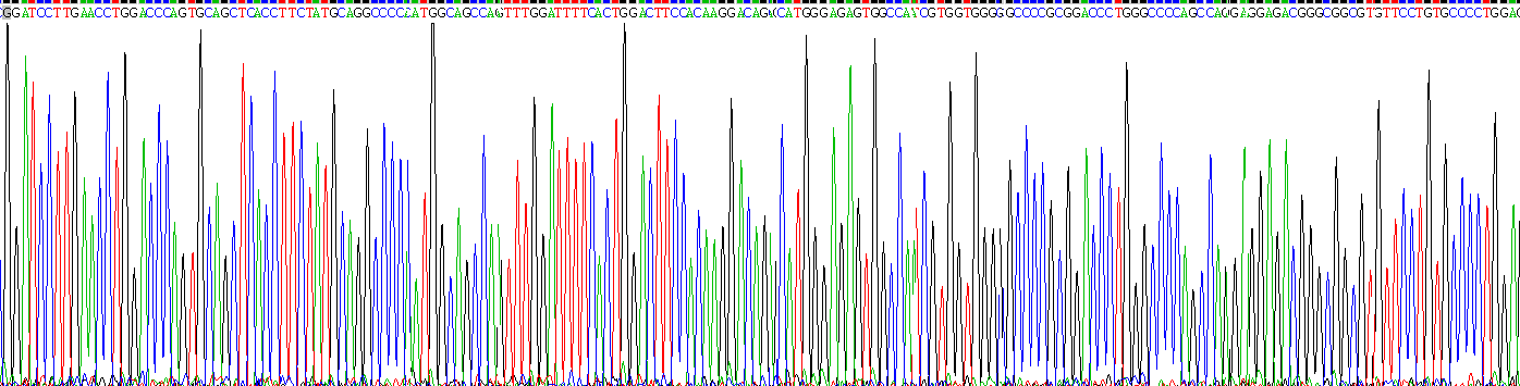 整合素α2B(ITGa2B)重组蛋白