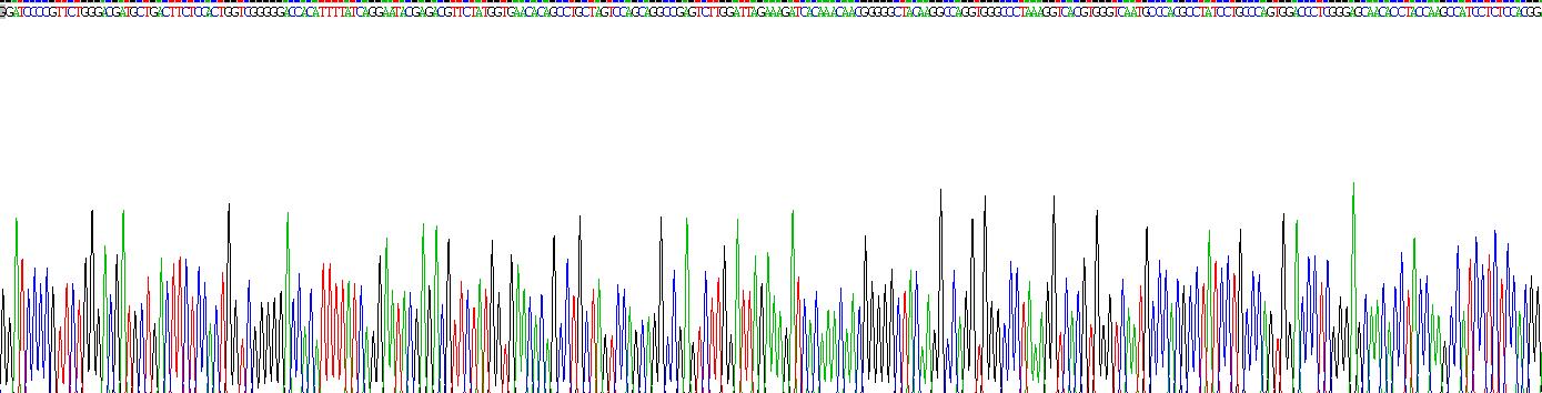 粘蛋白4(MUC4)重組蛋白