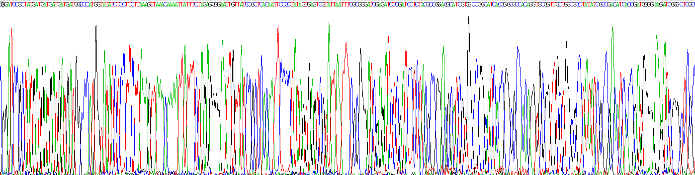 整合素β1(ITGb1)重組蛋白