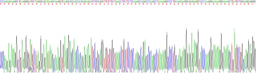 高迁移率族核小体结合的结构域2(HMGN2)重组蛋白
