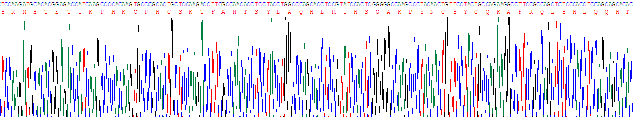 核基质蛋白4(NMP4)重组蛋白