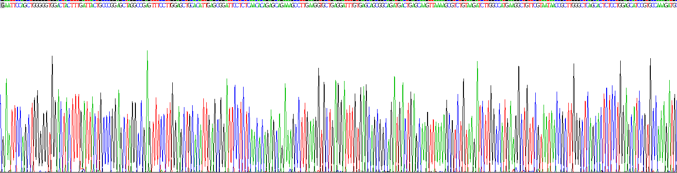 85kDa核孔蛋白(NUP85)重組蛋白