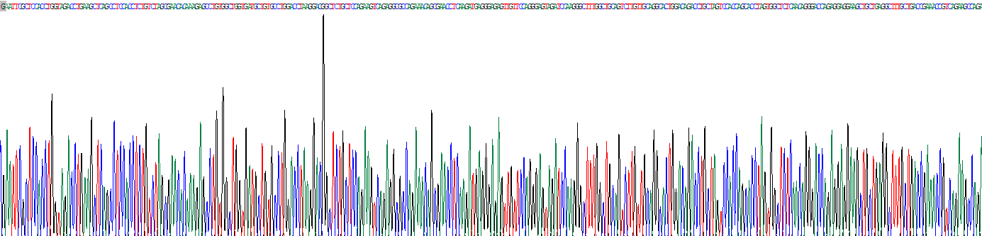 VGF神经生长因子诱导蛋白(VGF)重组蛋白