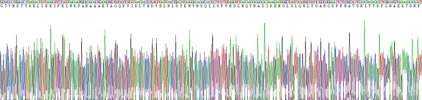 转铁蛋白受体(TFR)重组蛋白