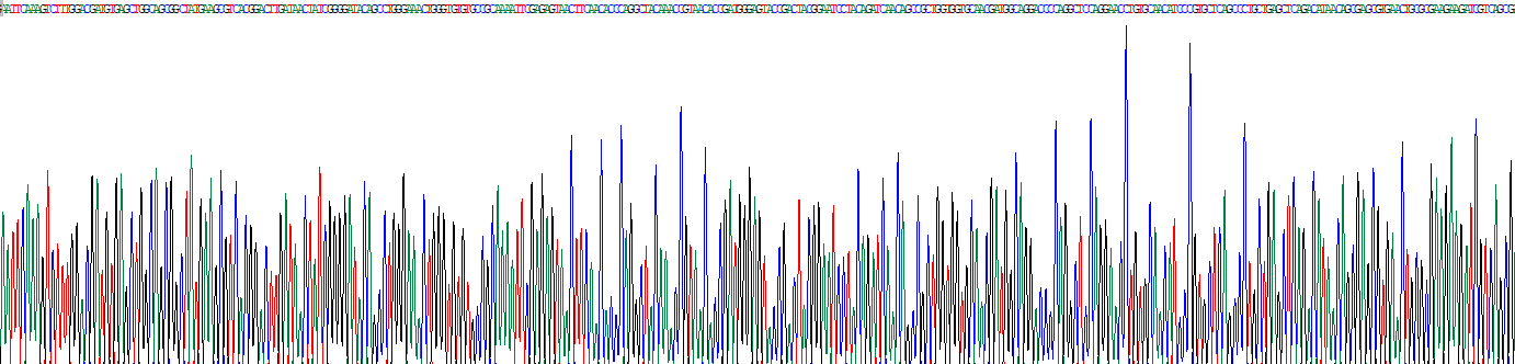 溶菌酶(LZM)重组蛋白