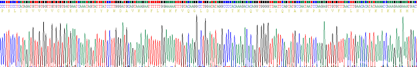 整合素α2(ITGa2)重组蛋白