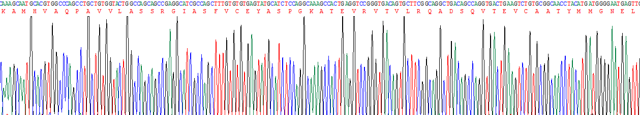细胞毒性T-淋巴细胞关联抗原4(CTLA4)重组蛋白
