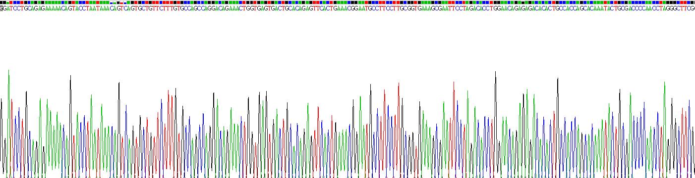 肿瘤坏死因子受体超家族成员5(CD40)重组蛋白