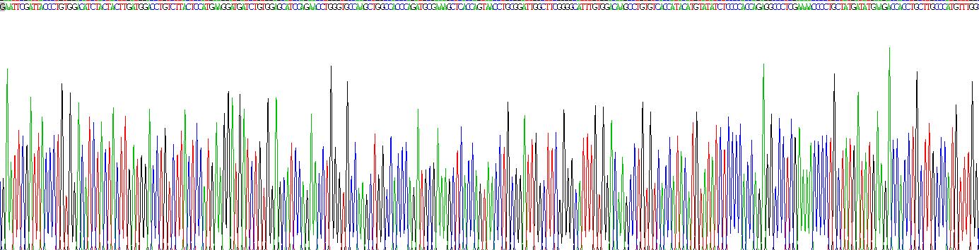 整合素β3(ITGb3)重组蛋白