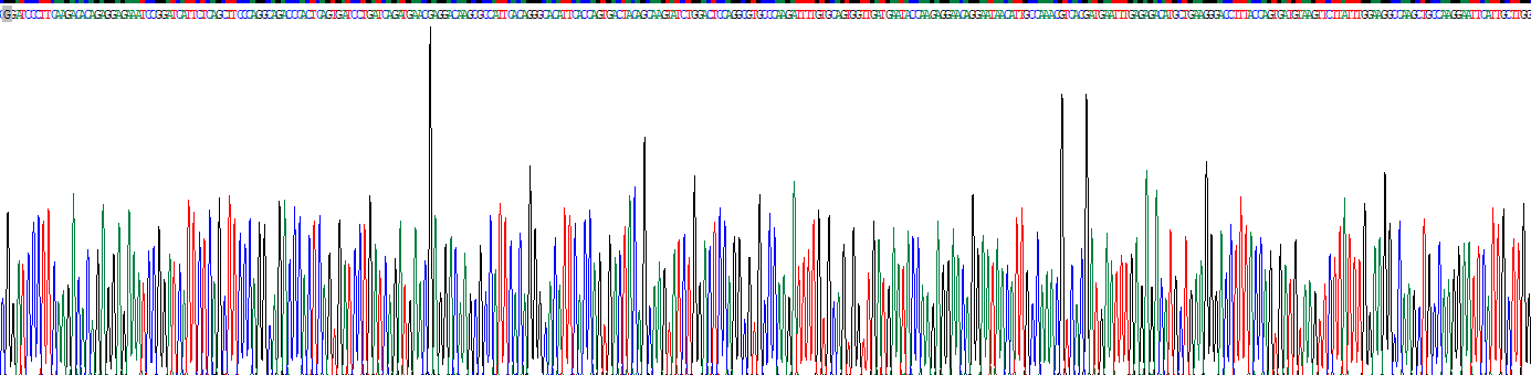 胰高血糖素(GCG)重组蛋白