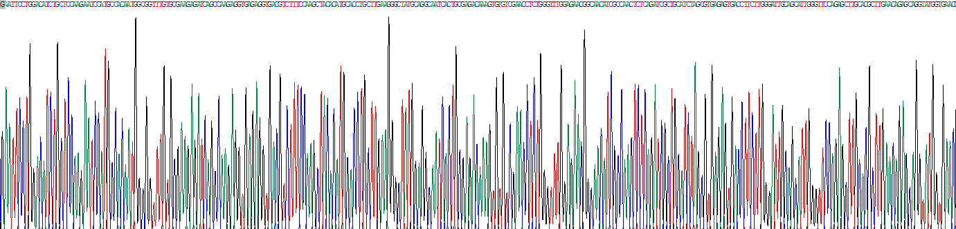 乳脂球表皮生長因子8(MFGE8)重組蛋白