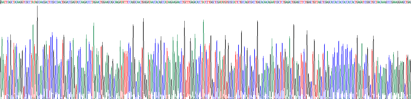 乳脂球表皮生长因子8(MFGE8)重组蛋白