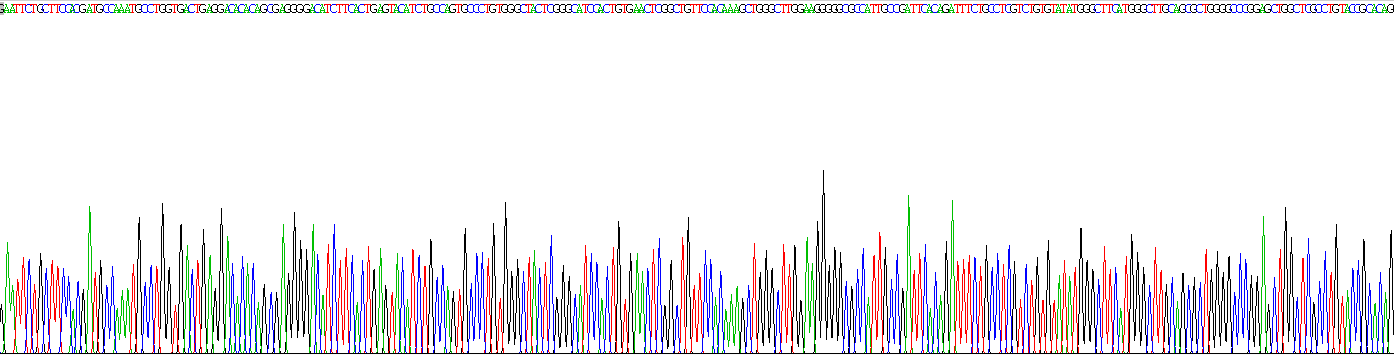 乳脂球表皮生长因子8(MFGE8)重组蛋白