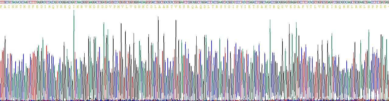 V-Ha-Ras肉瘤病毒癌基因同源物(HRAS)重組蛋白