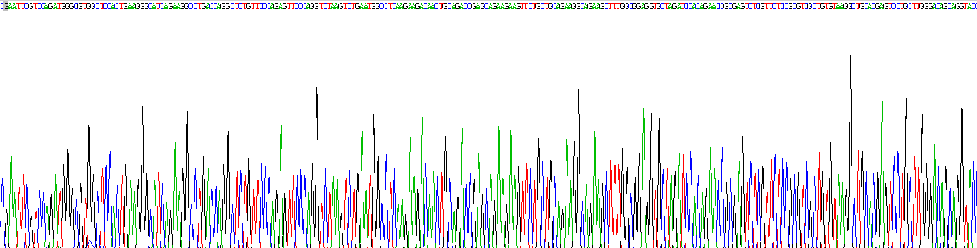 野鼠色基因相关蛋白(AGRP)重组蛋白