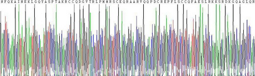 补体4B(C4B)重组蛋白