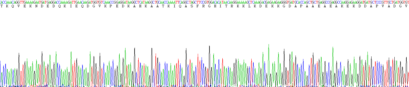 生长关联蛋白43(GAP43)重组蛋白