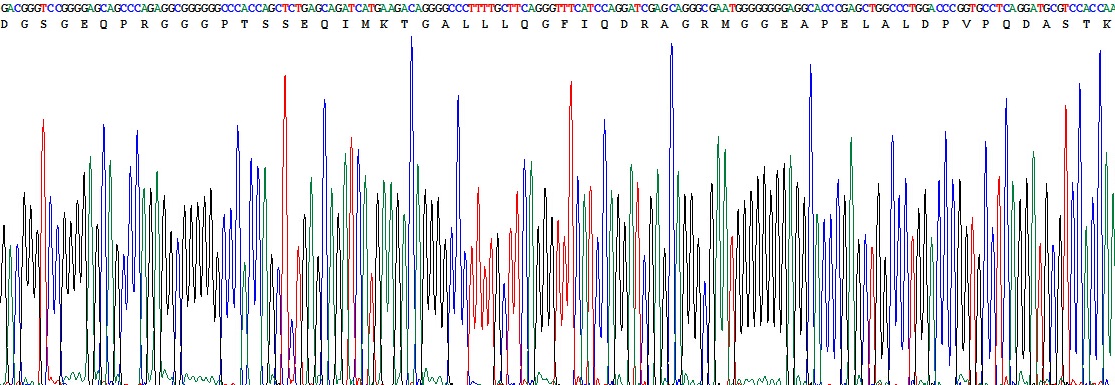 Bcl2关联X蛋白(Bax)重组蛋白