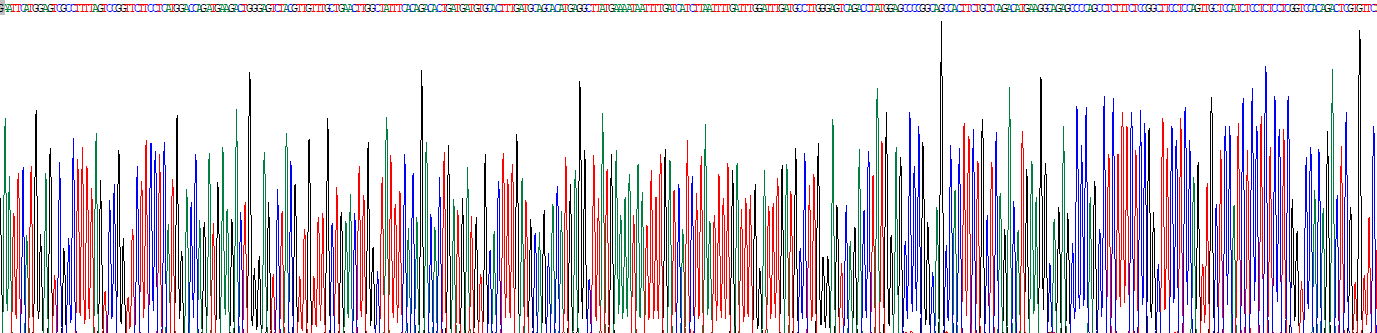转录激活因子6(ATF6)重组蛋白
