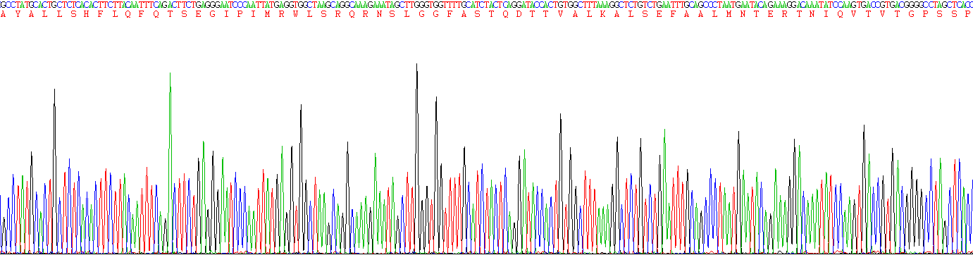 CD109分子(CD109)重组蛋白
