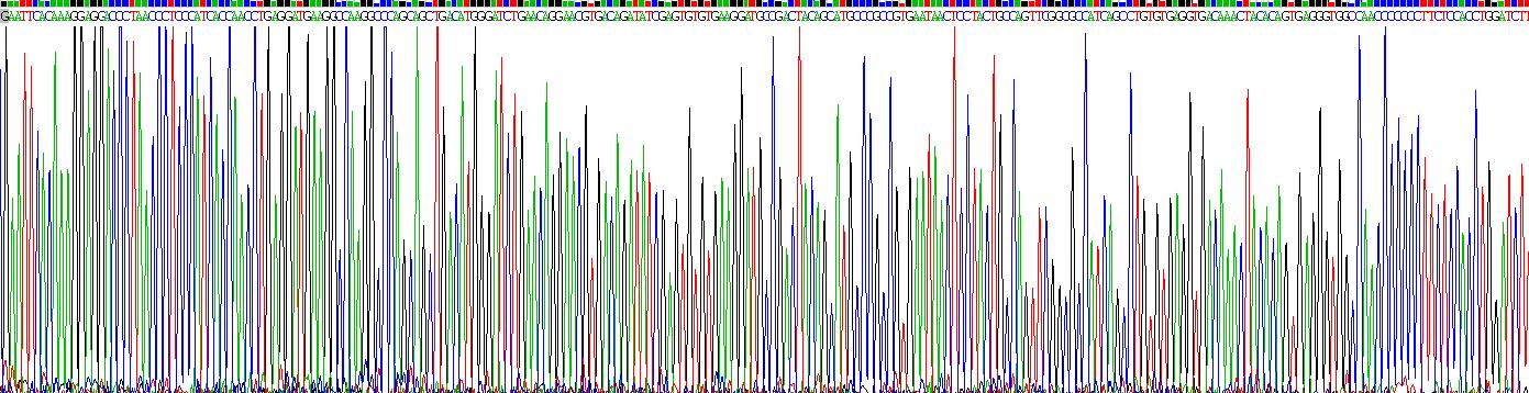 白介素3受体α(IL3Ra)重组蛋白