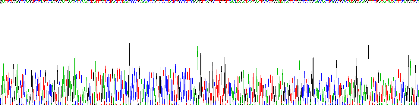 白介素2受體γ(IL2Rg)重組蛋白