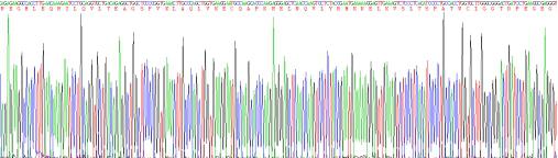 Z-DNA结合蛋白1(ZBP1)重组蛋白