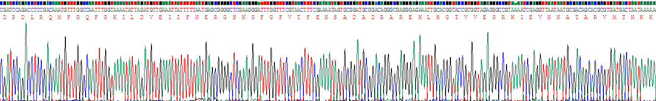 失調(diào)蛋白2結(jié)合蛋白1(A2BP1)重組蛋白