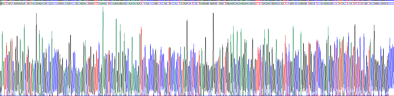 淋巴毒素β(LTb)重组蛋白