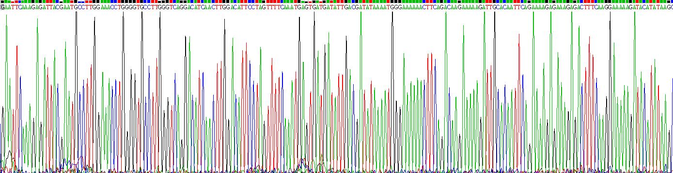 CD2分子(CD2)重组蛋白