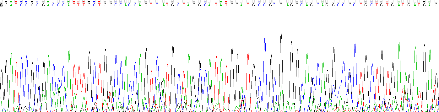 CD64分子(CD64)重组蛋白