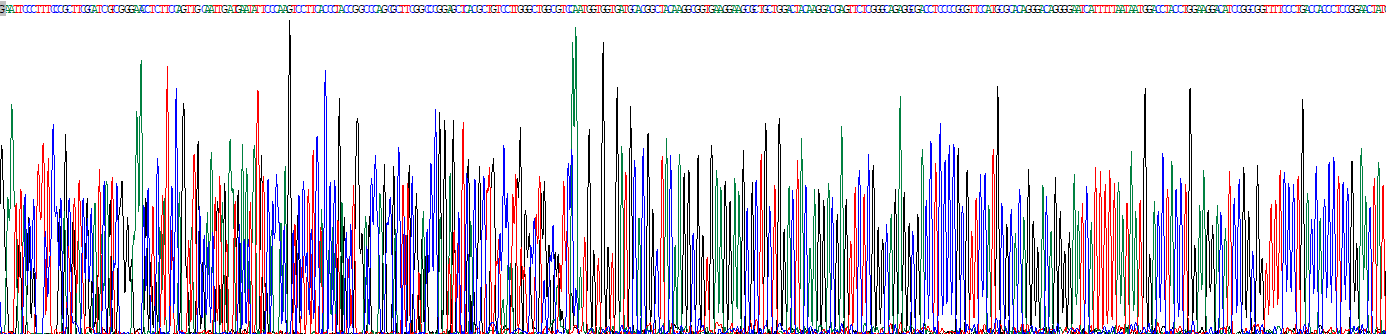 CD164分子(CD164)重组蛋白