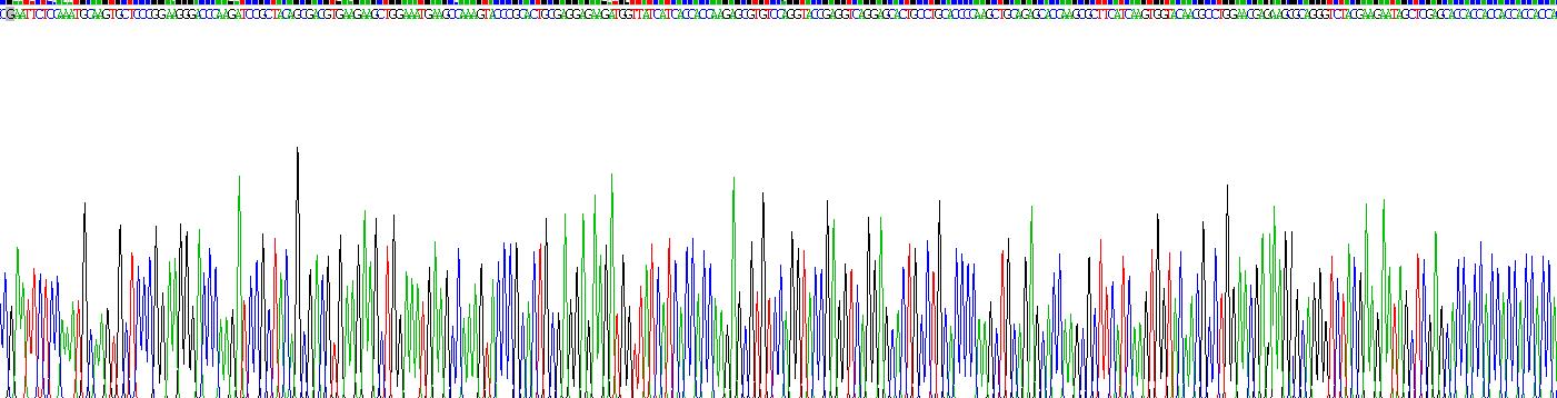 趨化因子配體14(CXCL14)重組蛋白