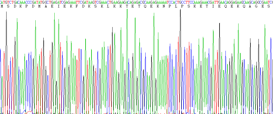 胸腺素β4(TMSB4X)重组蛋白