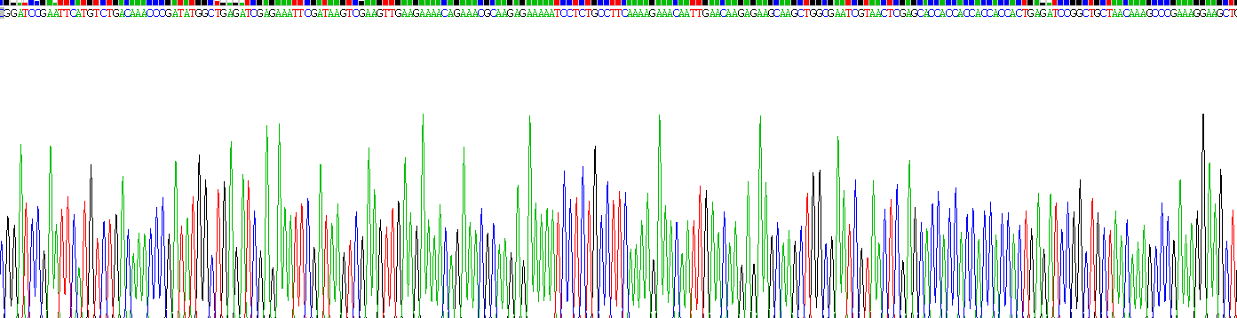 胸腺素β4(TMSB4X)重組蛋白