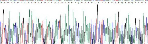 胸腺素β4(TMSB4X)重组蛋白