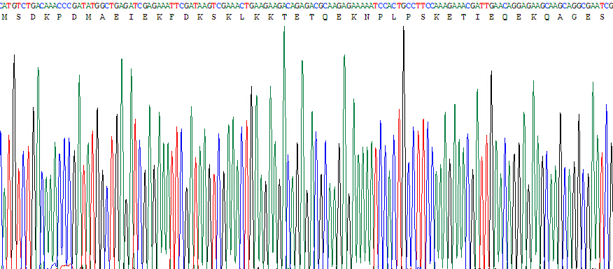 胸腺素β4(TMSB4X)重組蛋白