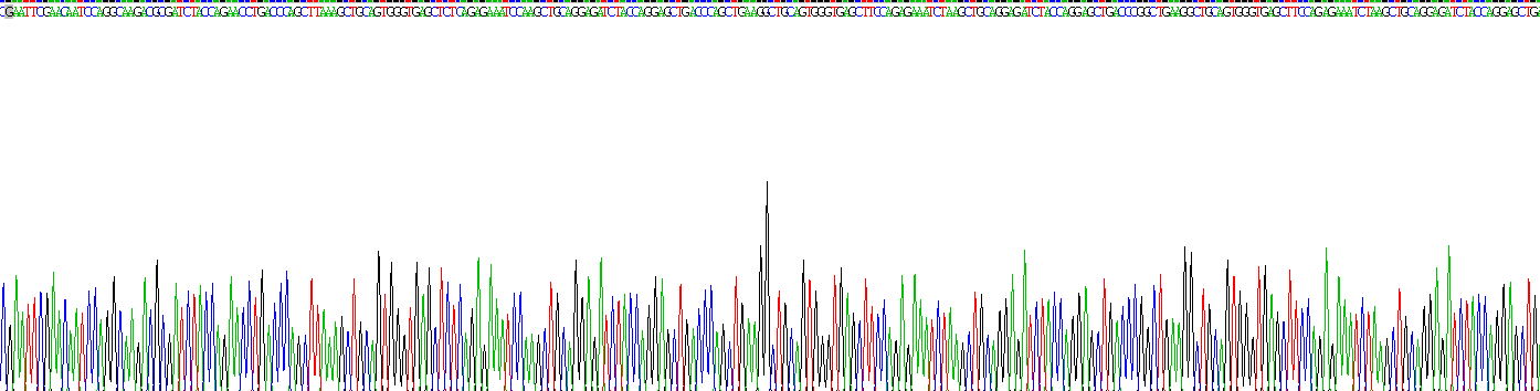 CD209分子(CD209)重组蛋白
