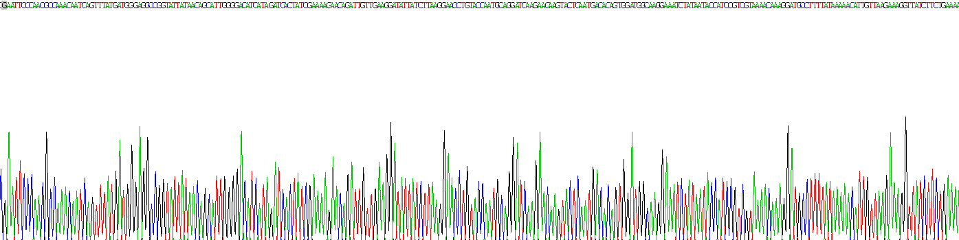 Ras GTP酶激活蛋白1(RASA1)重组蛋白