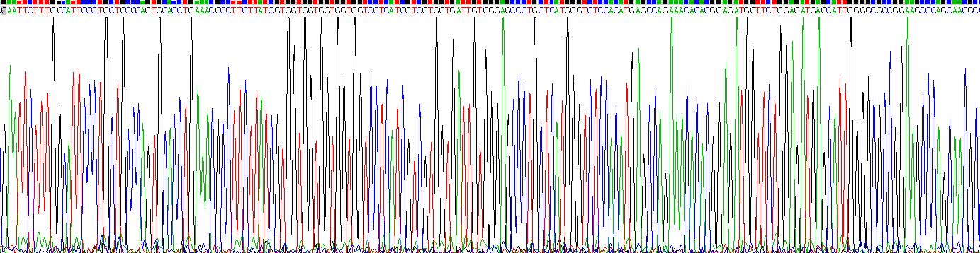 表面活性物质关联蛋白C(SP-C)重组蛋白