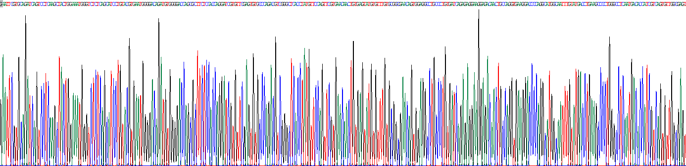 胰島素樣生長因子2受體(IGF2R)重組蛋白