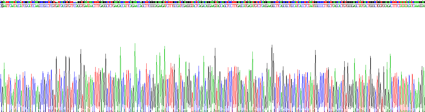 整合素αM(CD11b)重组蛋白