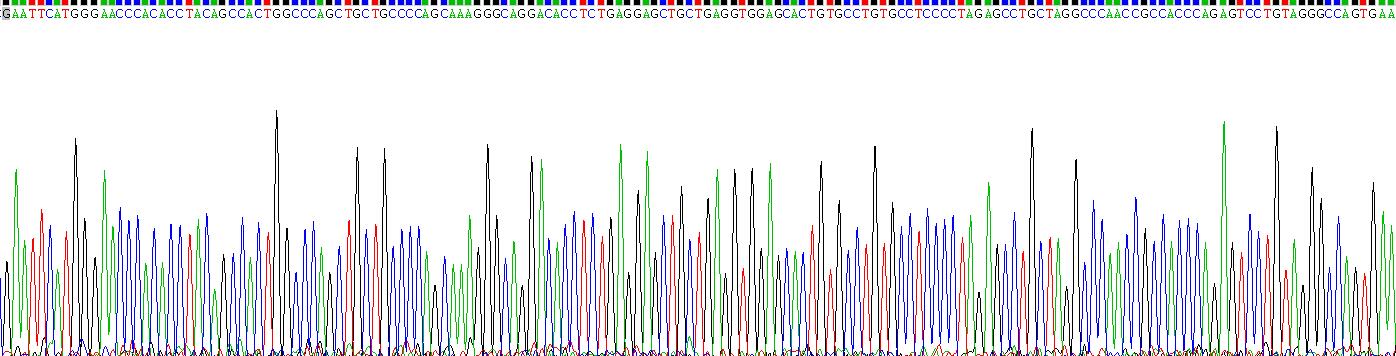 白介素25(IL25)重組蛋白