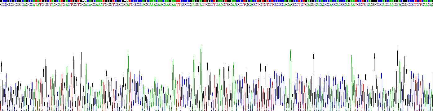 白介素25(IL25)重组蛋白