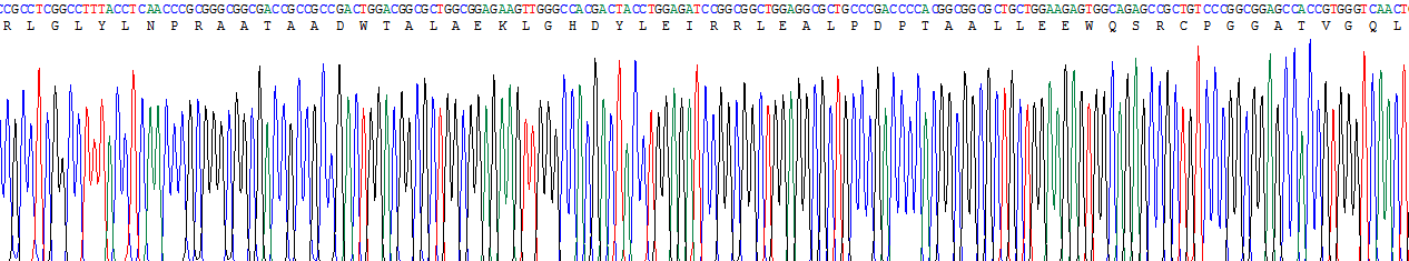 髓分化因子88(MyD88)重组蛋白