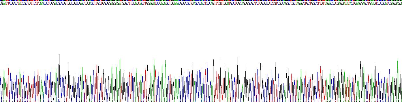 髓分化因子88(MyD88)重組蛋白