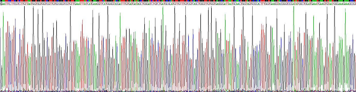 CD163分子(CD163)重組蛋白