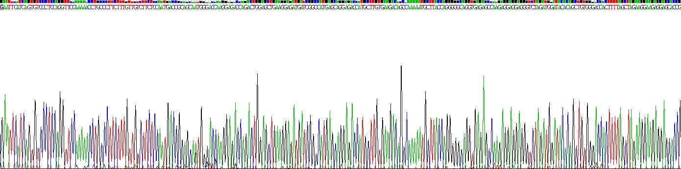 骨形态发生蛋白 9(BMP9)重组蛋白